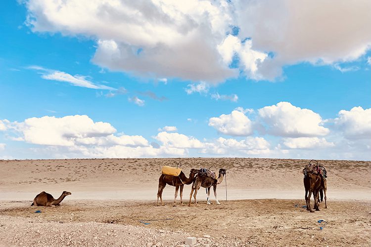 A stay worthy of the Arabian Nights at Oberoi Marrakech - The Oberoi, Marrakech ***** - 5