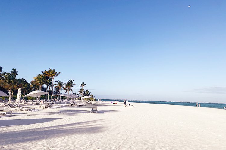 Heerlijk verblijf in Westin Punta Cana - The Westin Punta Cana Resort & Club ***** - 2