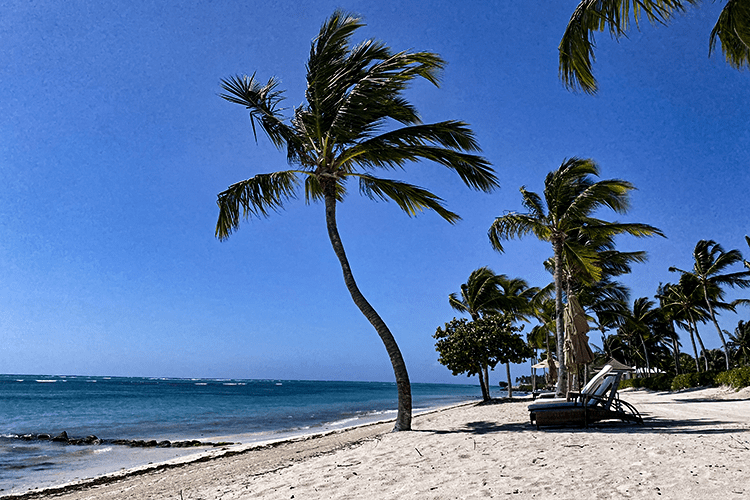 In het zonnige Punta Cana in het Tortuga Bay Hotel - Tortuga Bay Hotel at Puntacana Resort & Club ***** - 0