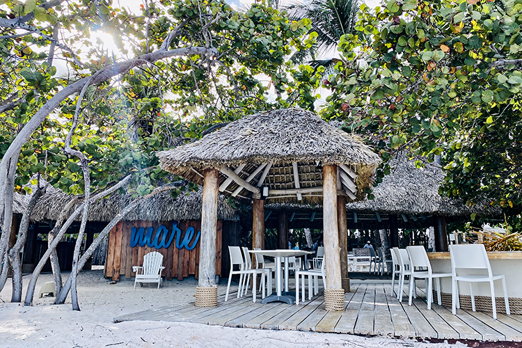 In het zonnige Punta Cana in het Tortuga Bay Hotel - Tortuga Bay Hotel at Puntacana Resort & Club ***** - 5