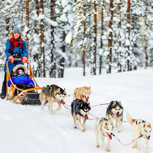 Top 8 des meilleures activités pour enfants à la montagne en hiver