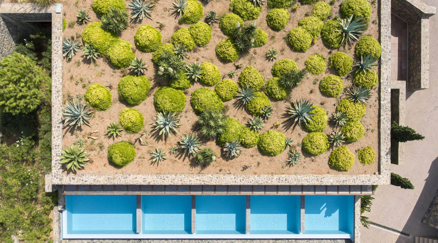 Deluxe Junior Suite – Individual Pool