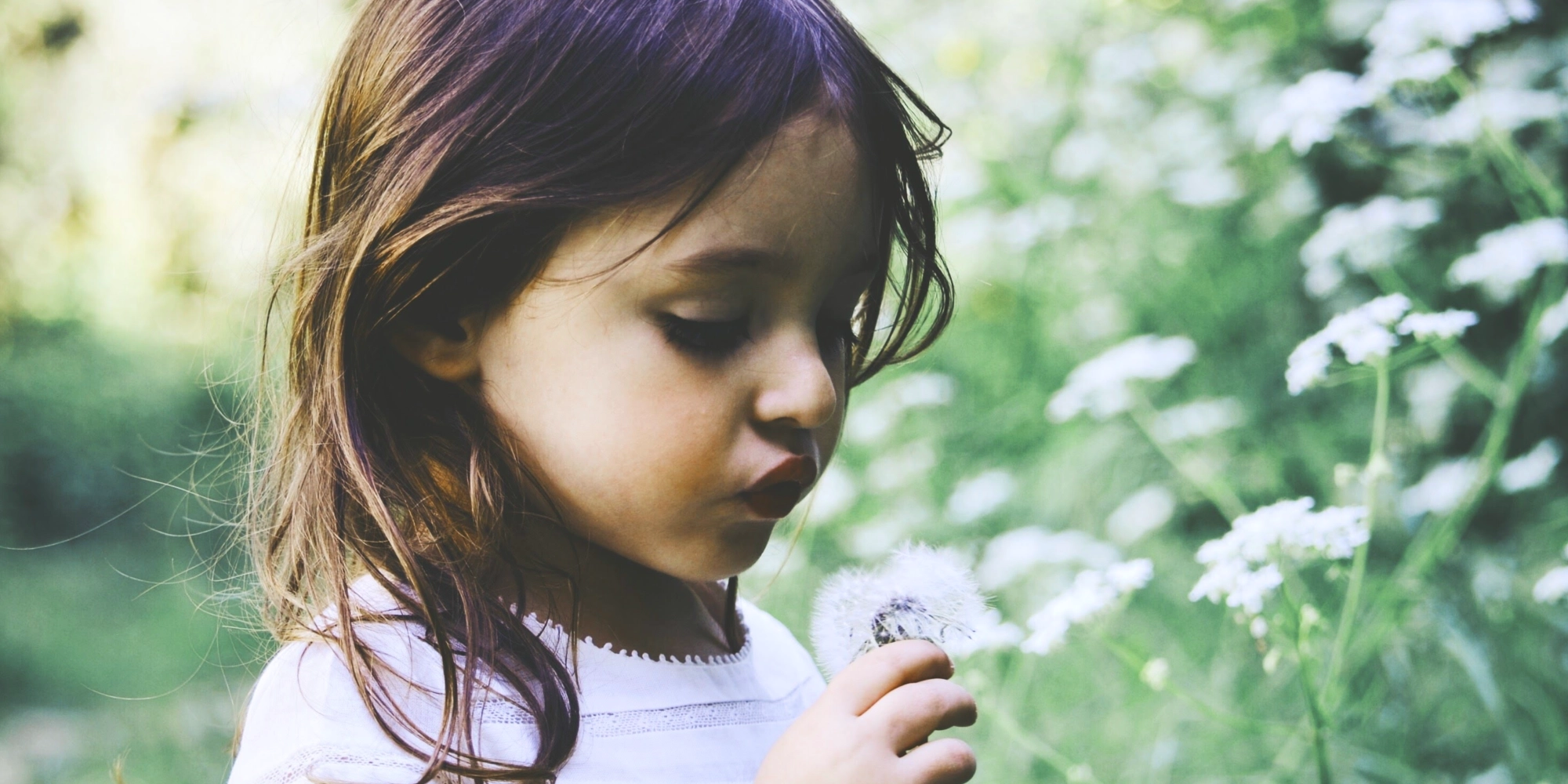 Castelfalfi ***** - thumbnail