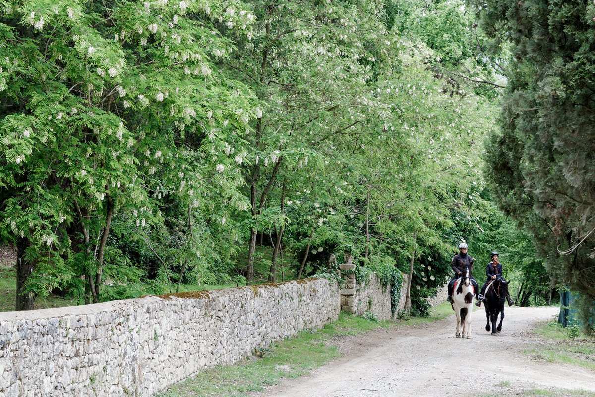 Equipements puériculture