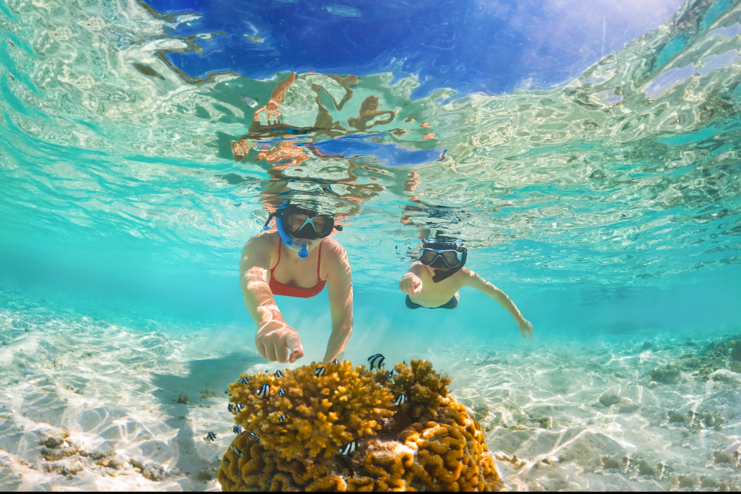 Equipements puériculture