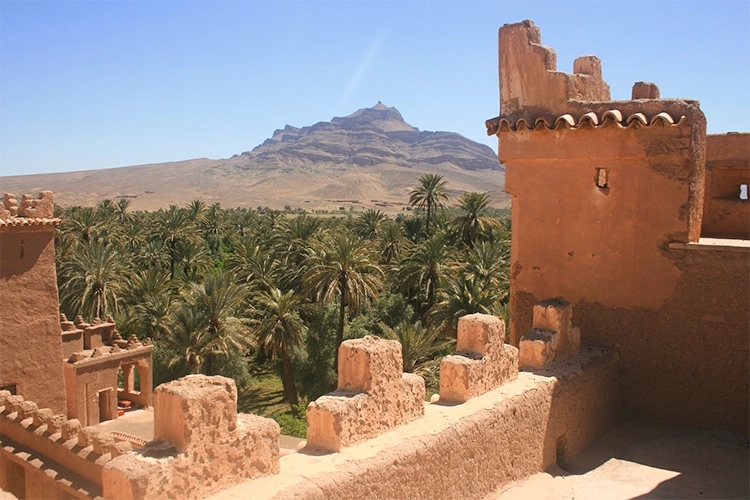 Visitez les oasis et les cascades