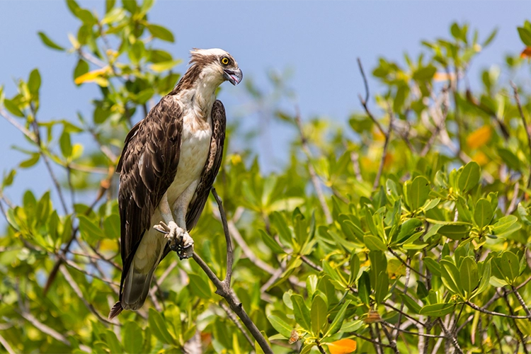 Nationale parken en stranden