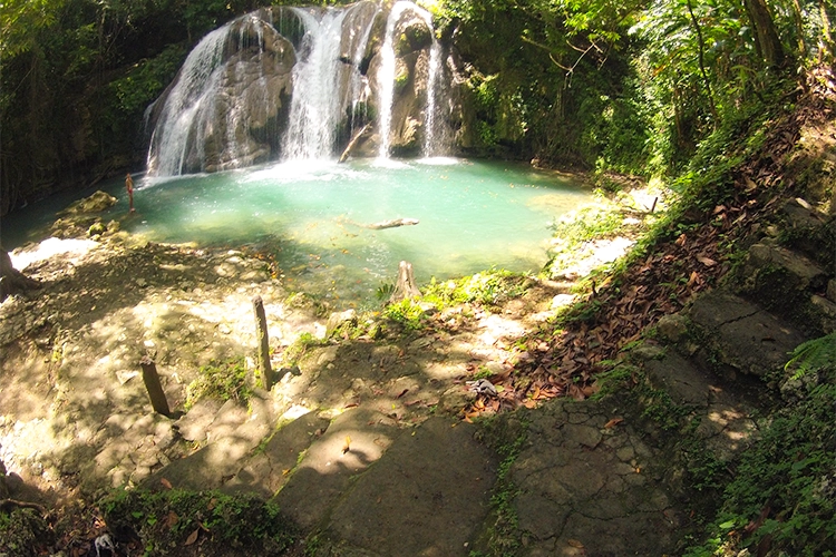 Visitez les parcs aquatiques