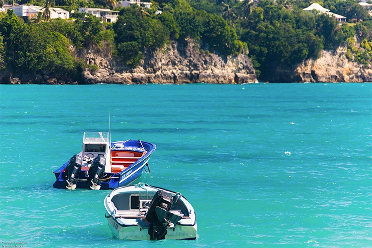 Excursiones en barco