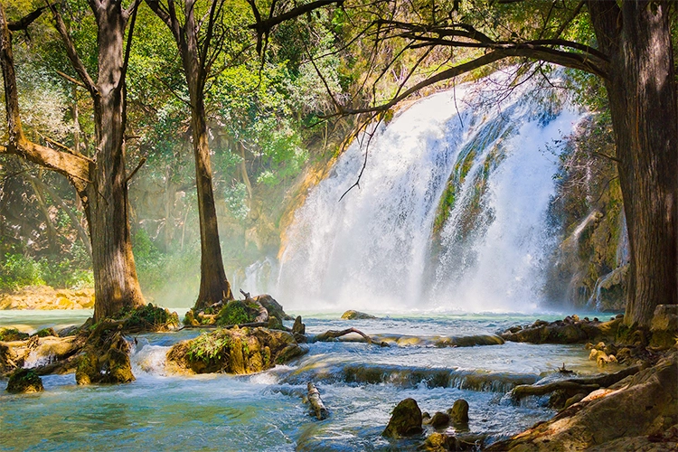 Tirolina por la selva