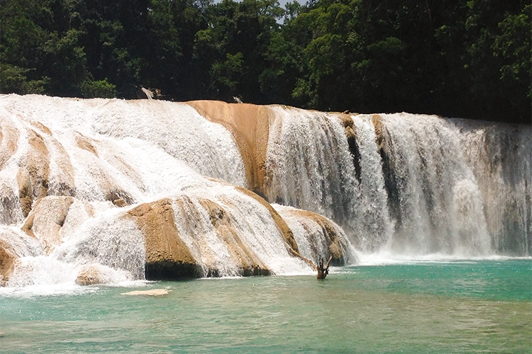 Exploración de la naturaleza