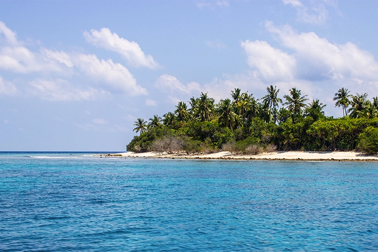 Picnic en una isla desierta