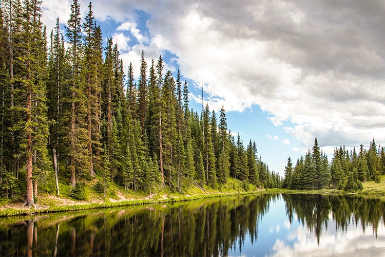 Explorar los parques nacionales