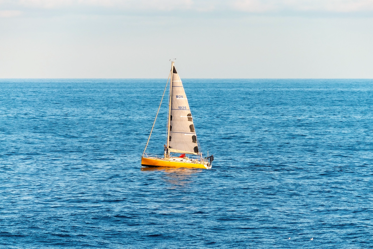 Excursions en bateau