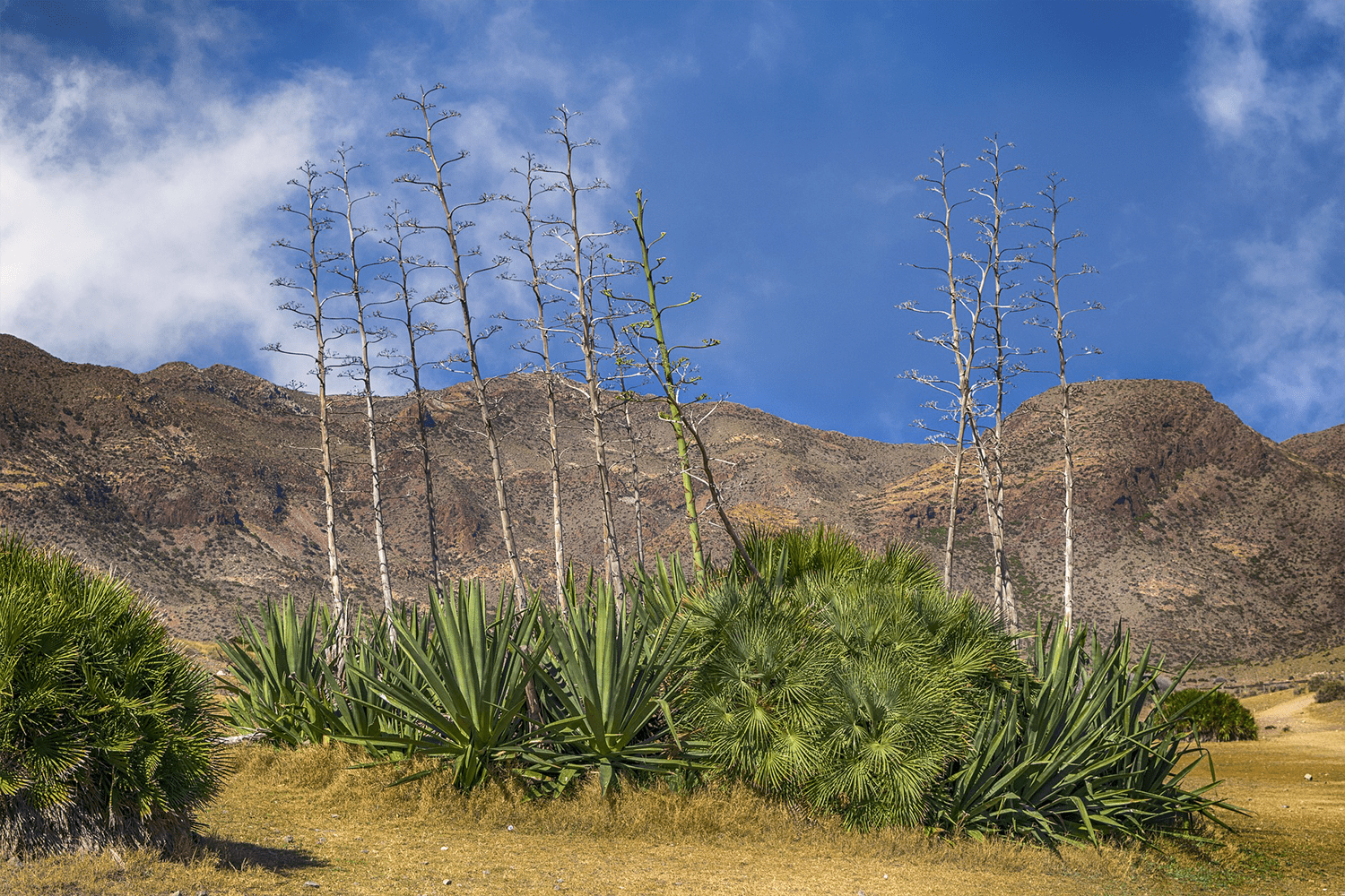 Découvrir la nature luxuriante 