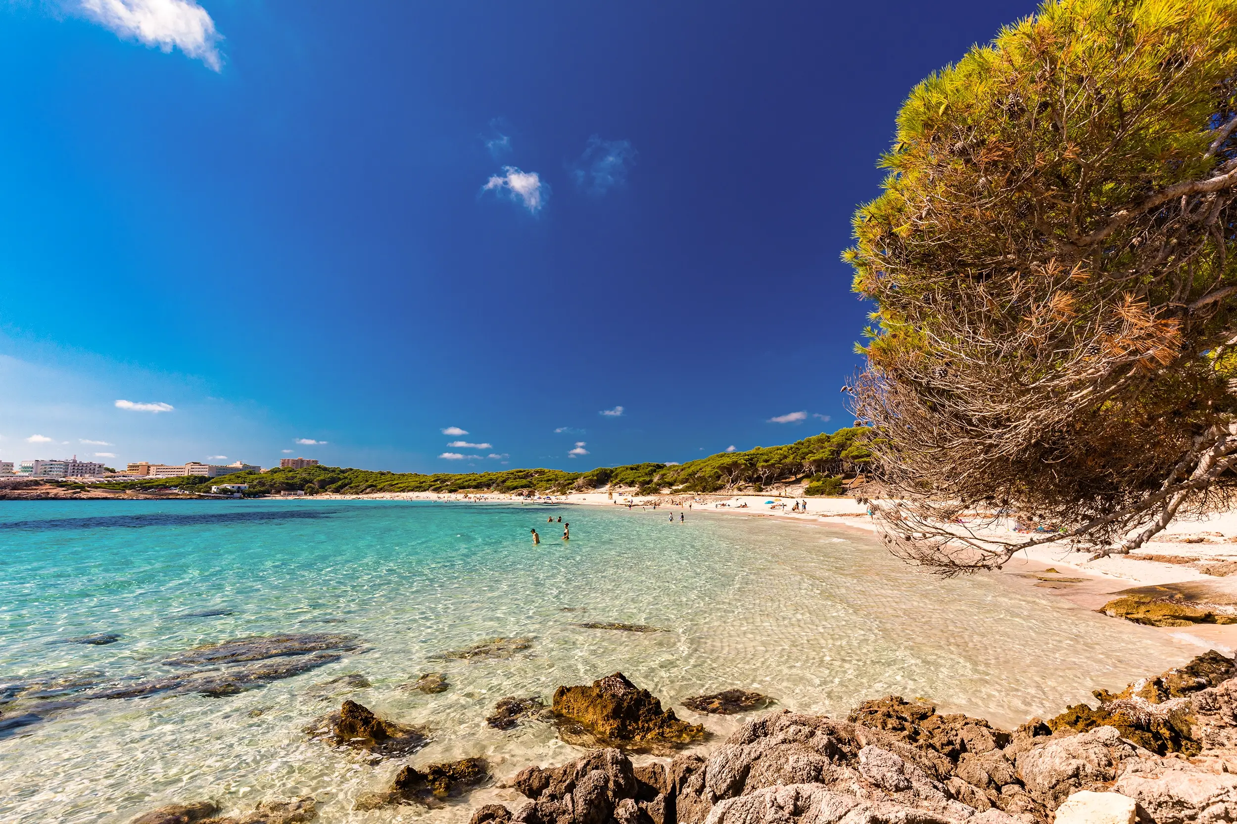  - Trouvez votre hôtel de rêve à Palma de Majorque pour d’incroyables vacances en famille