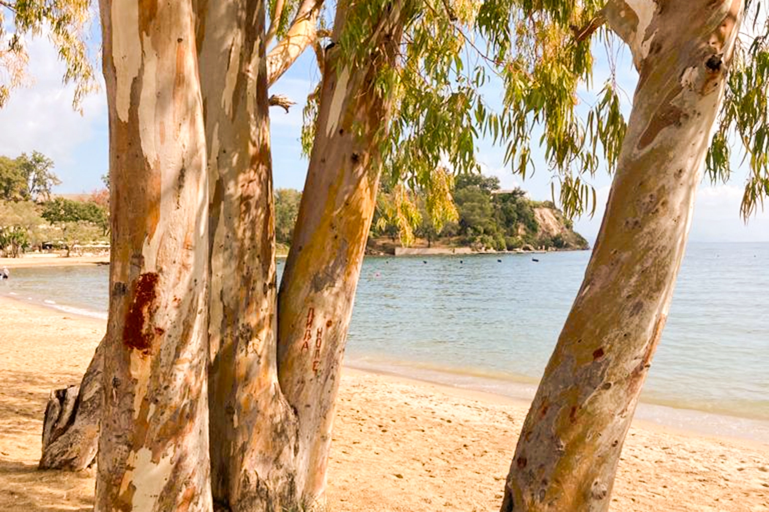 A stay in the sun at Ikos Odisia - Ikos Odisia ***** - 1