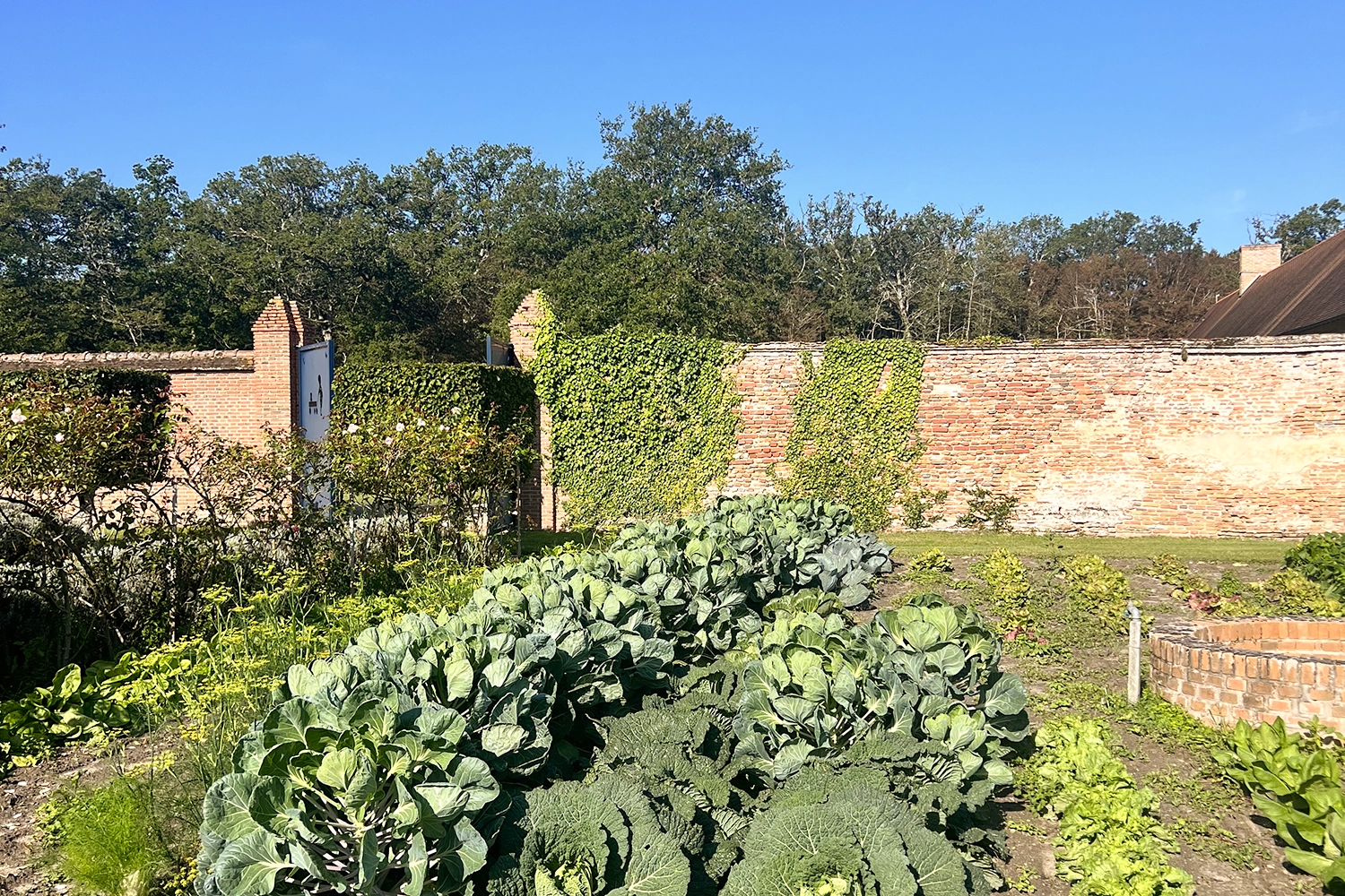 Stay in the countryside at La Borde en Sologne - La Borde en Sologne Château et Spa **** - 3
