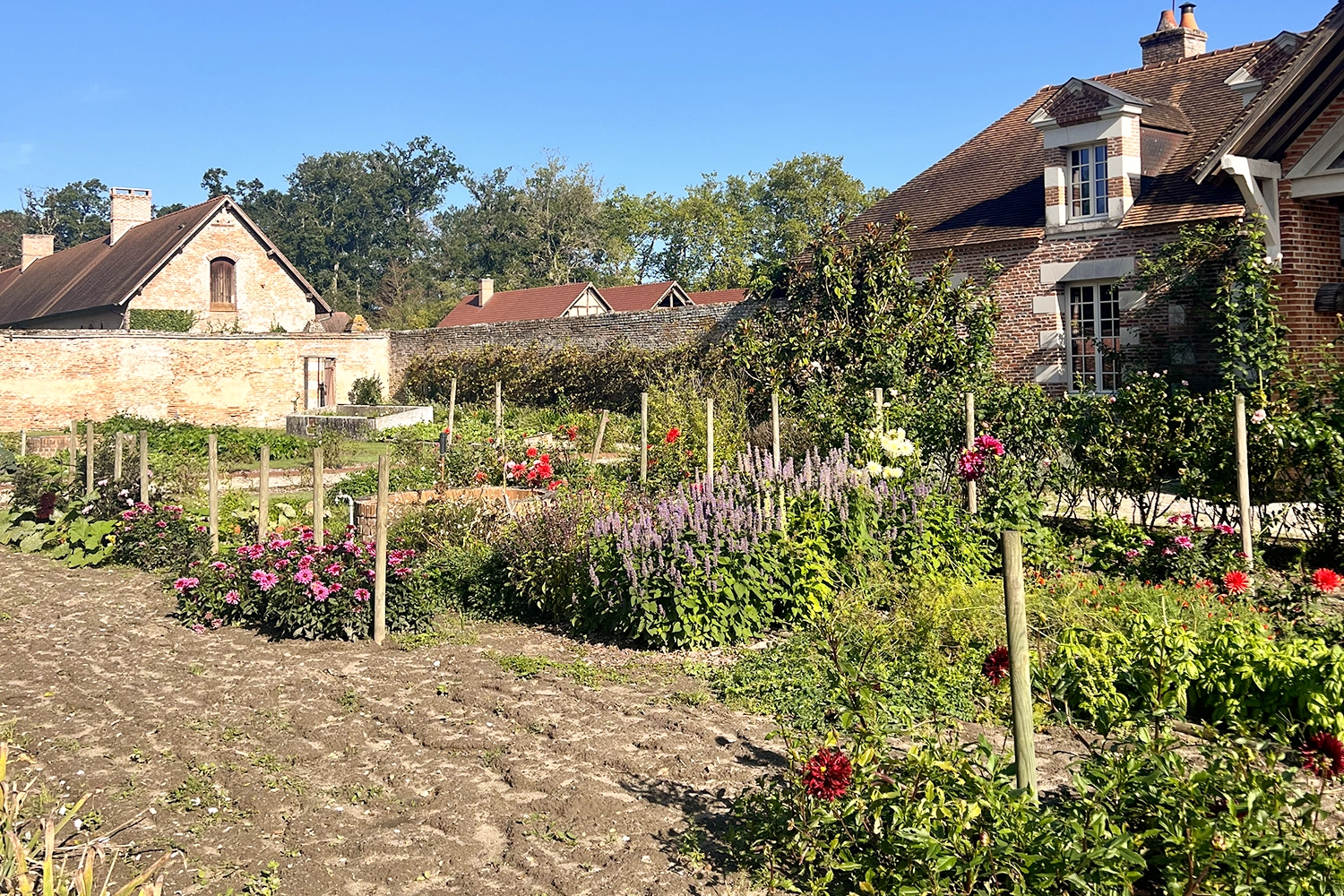Stay in the countryside at La Borde en Sologne - La Borde en Sologne Château et Spa **** - 7