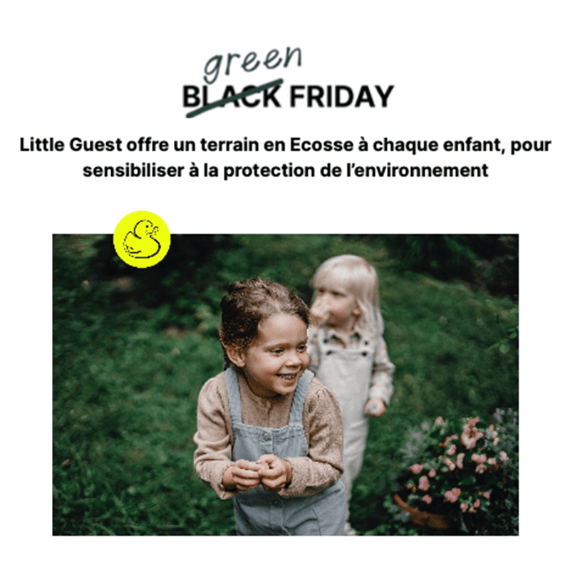 Little Guest | Black Friday 2023