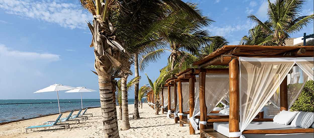 coconut-trees-beach-deckchairs