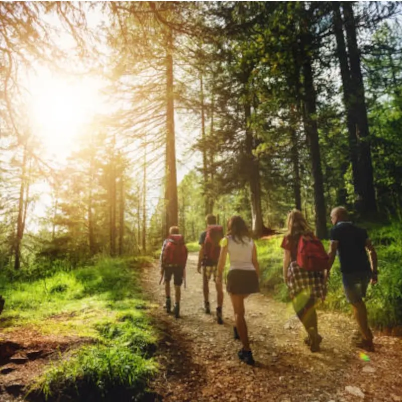 De berg in de zomer: top 6 gezinsactiviteiten