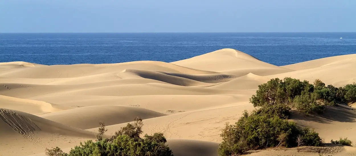 dunes-ocean