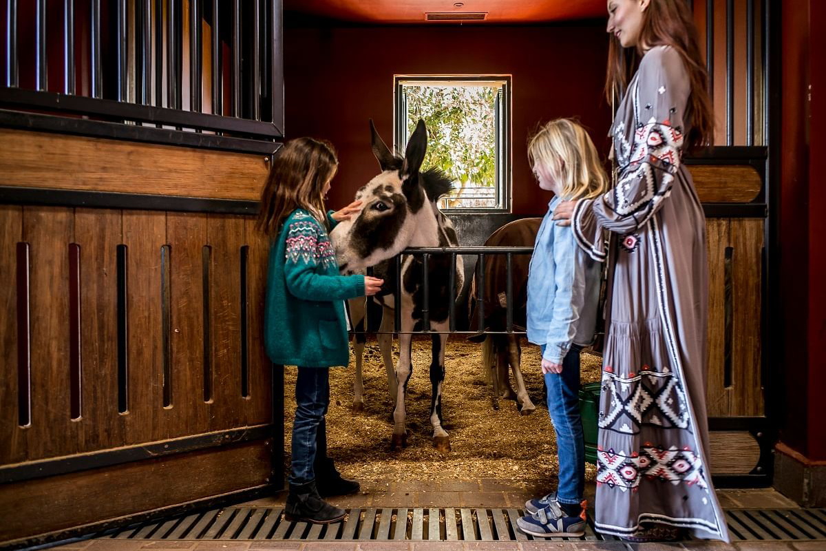 Selman Marrakech ***** - thumbnail