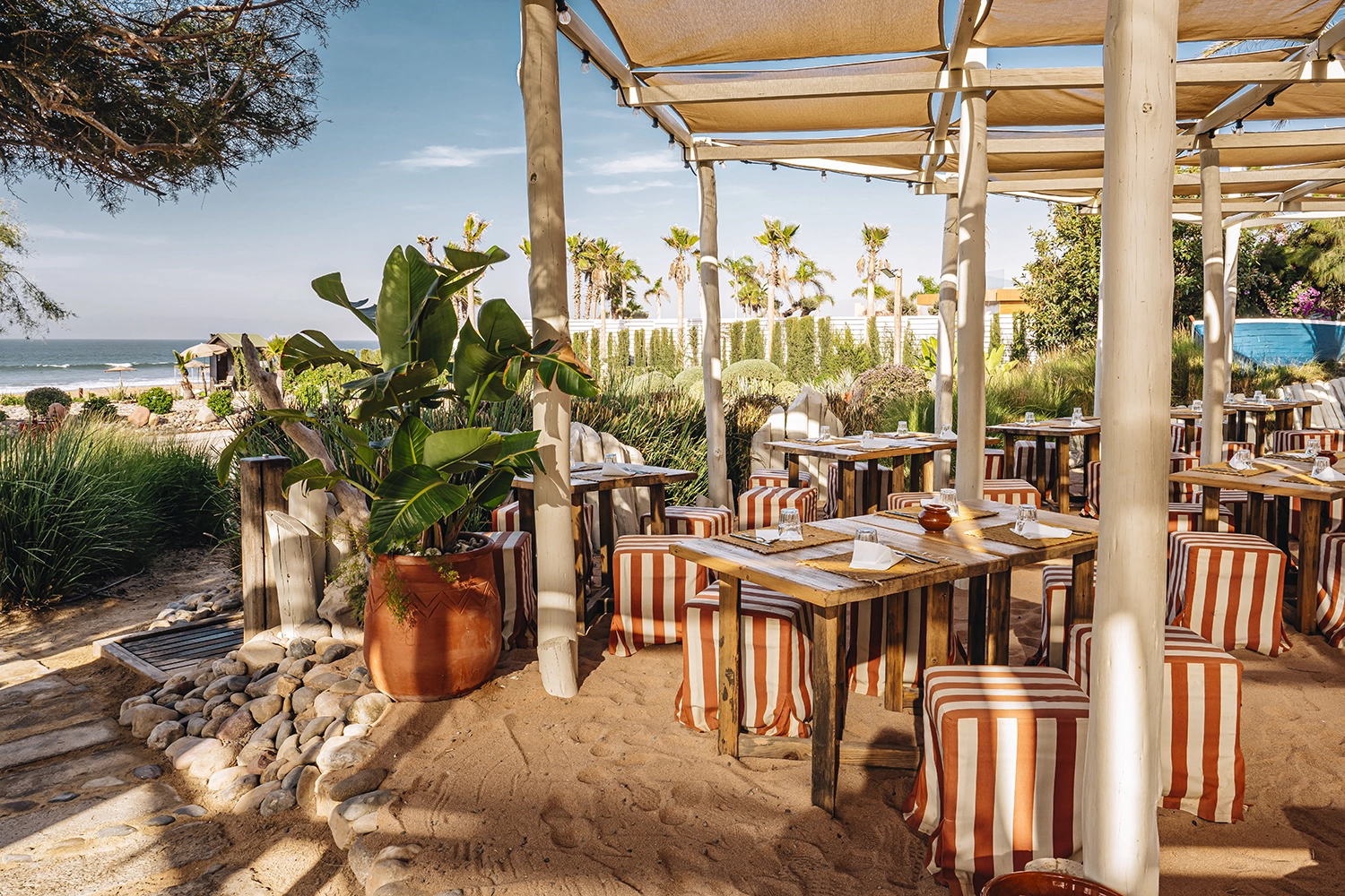 Chiringuito & Beach Bar 