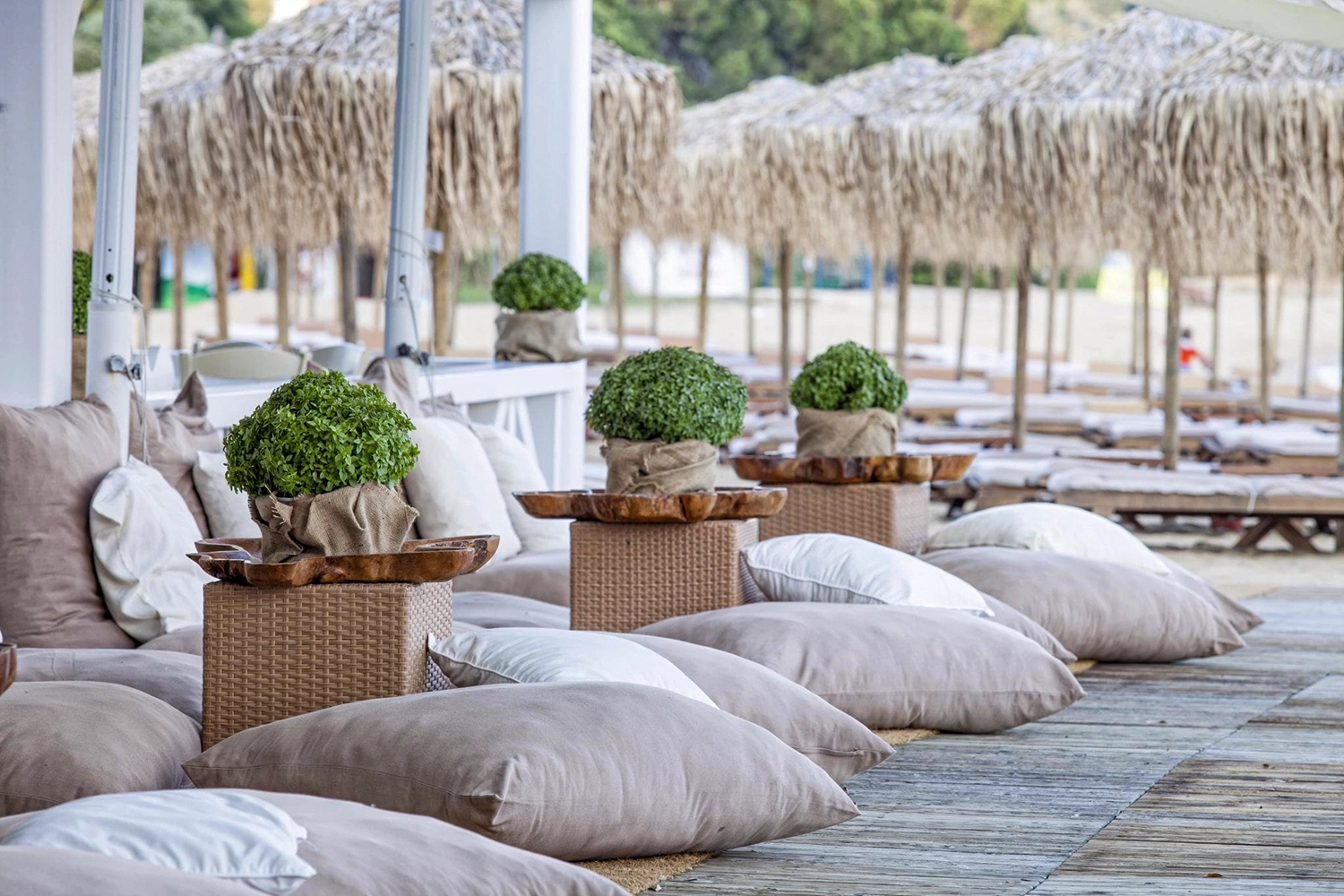 Beach Bar & Beach Services