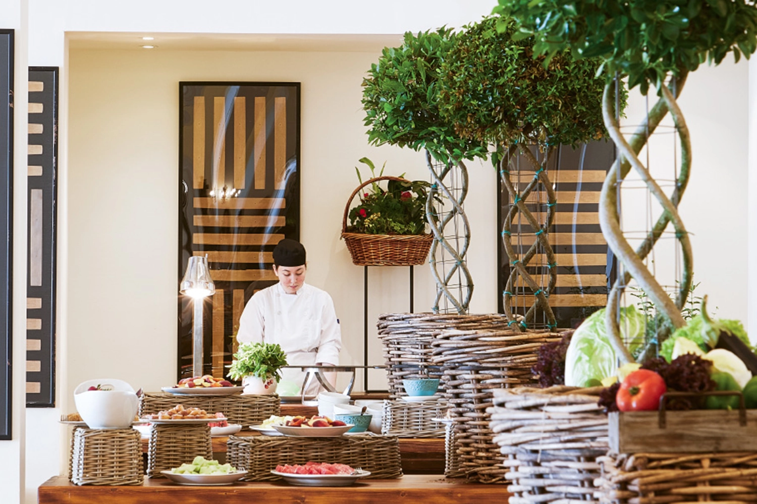 Olympia Oasis - The Seasons