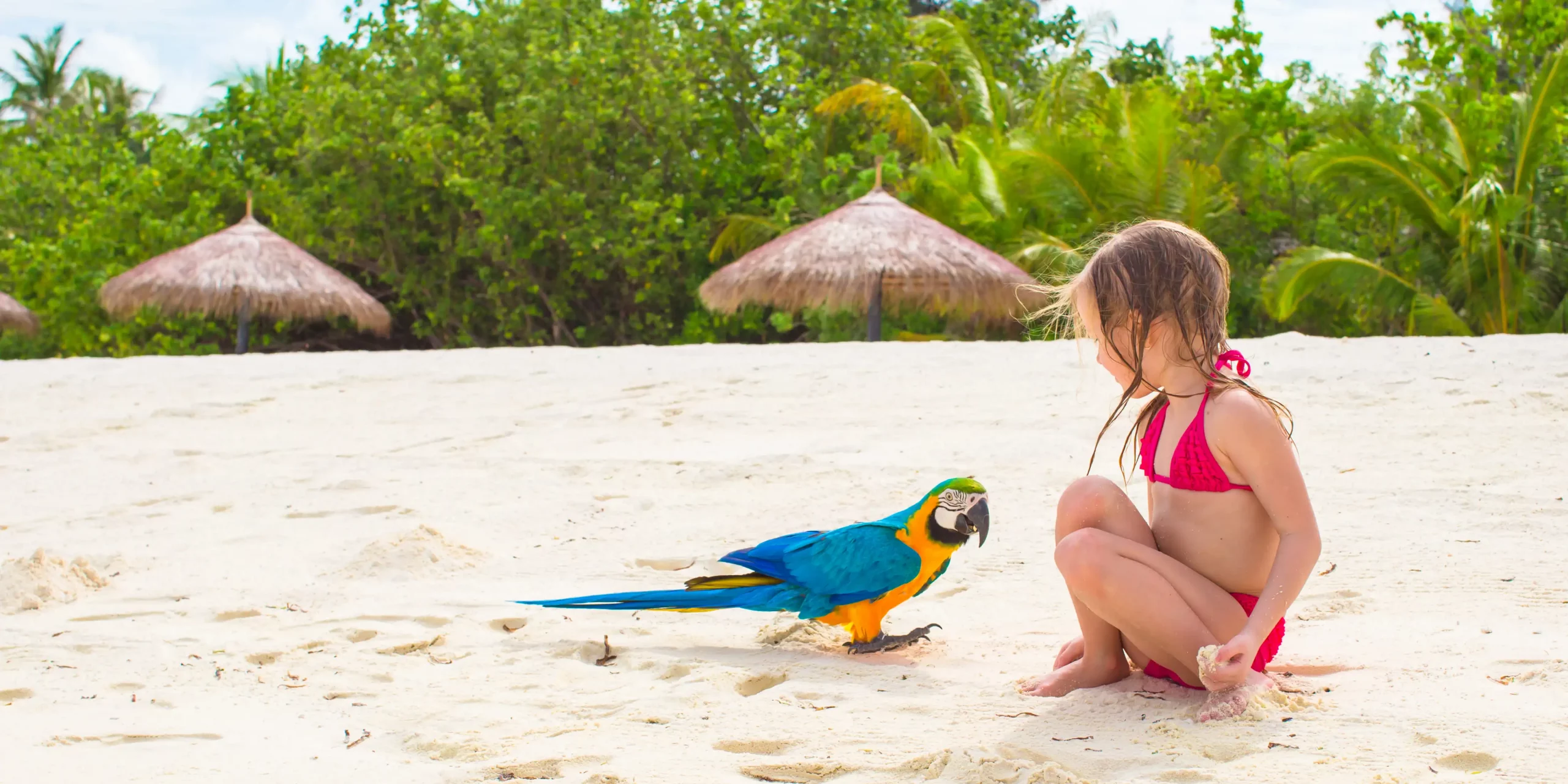 Margaritaville Island Reserve Riviera Cancun ***** - thumbnail