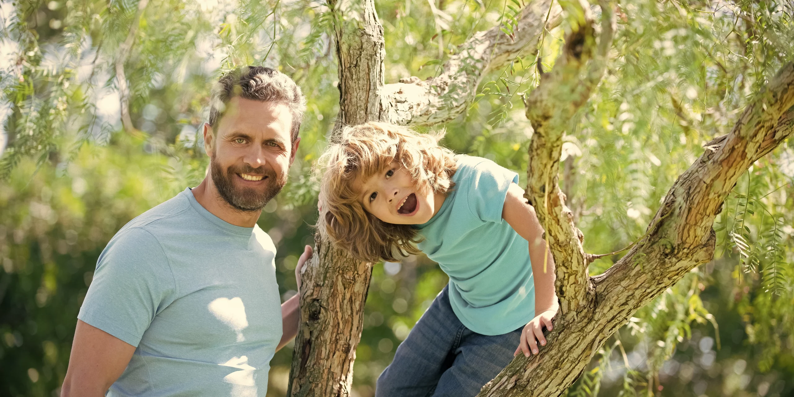 Serras Andorra ***** - Image presentation