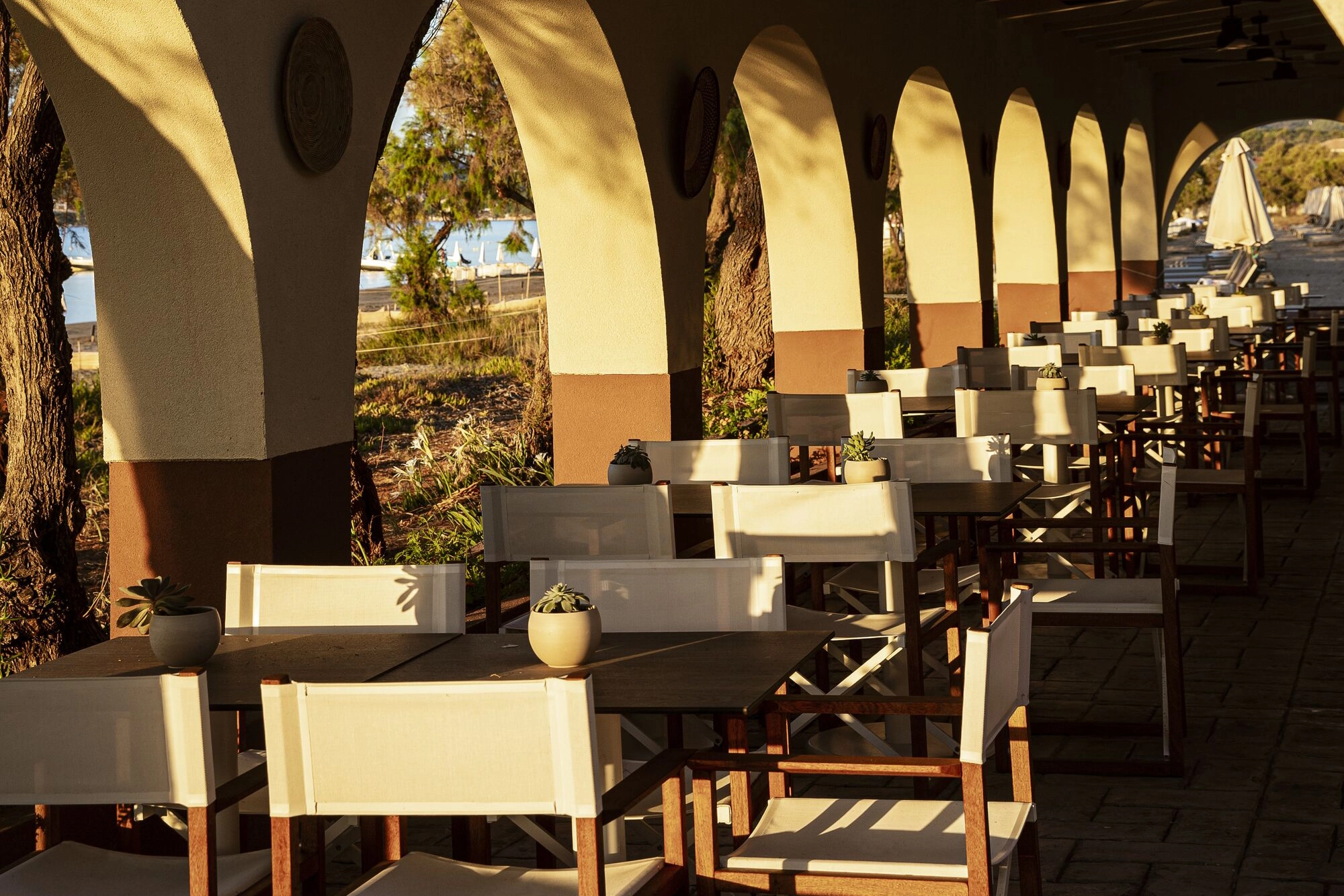 Meze | Means to Share