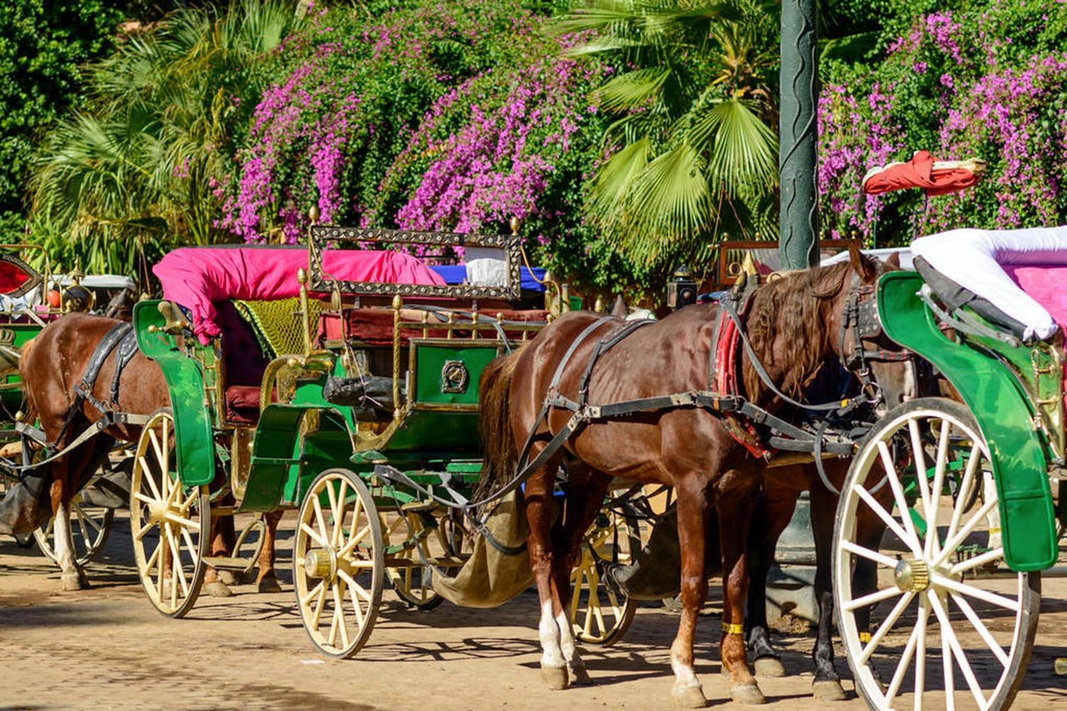 Balade en calèche dans Marrakech