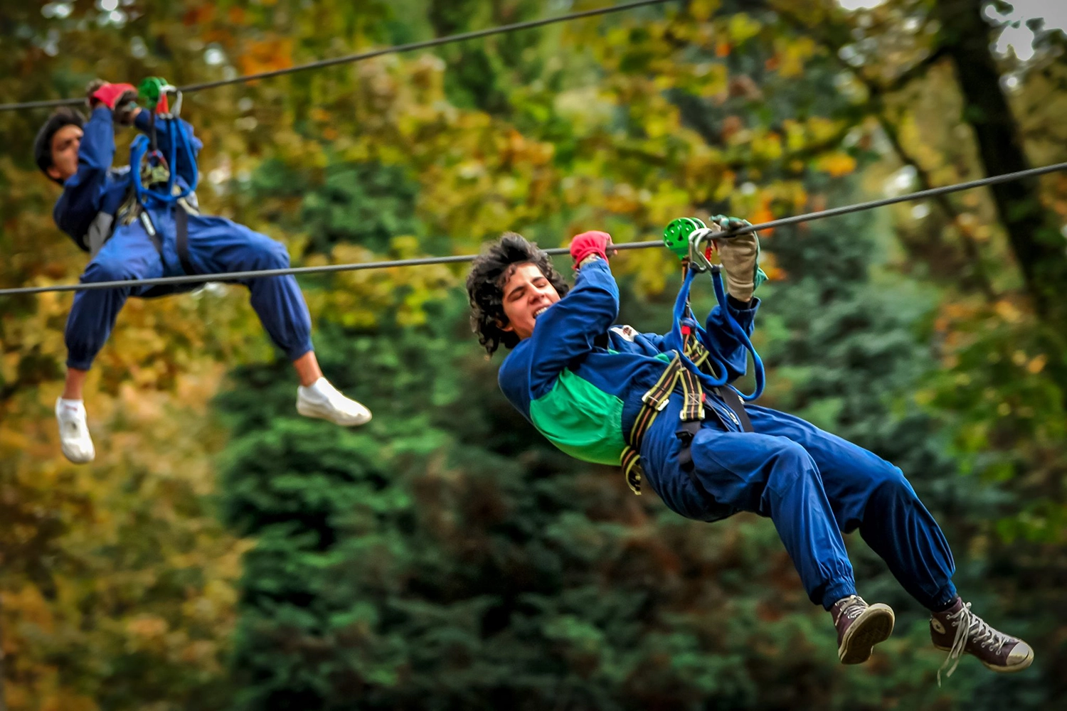 Adventure parks and tree climbing