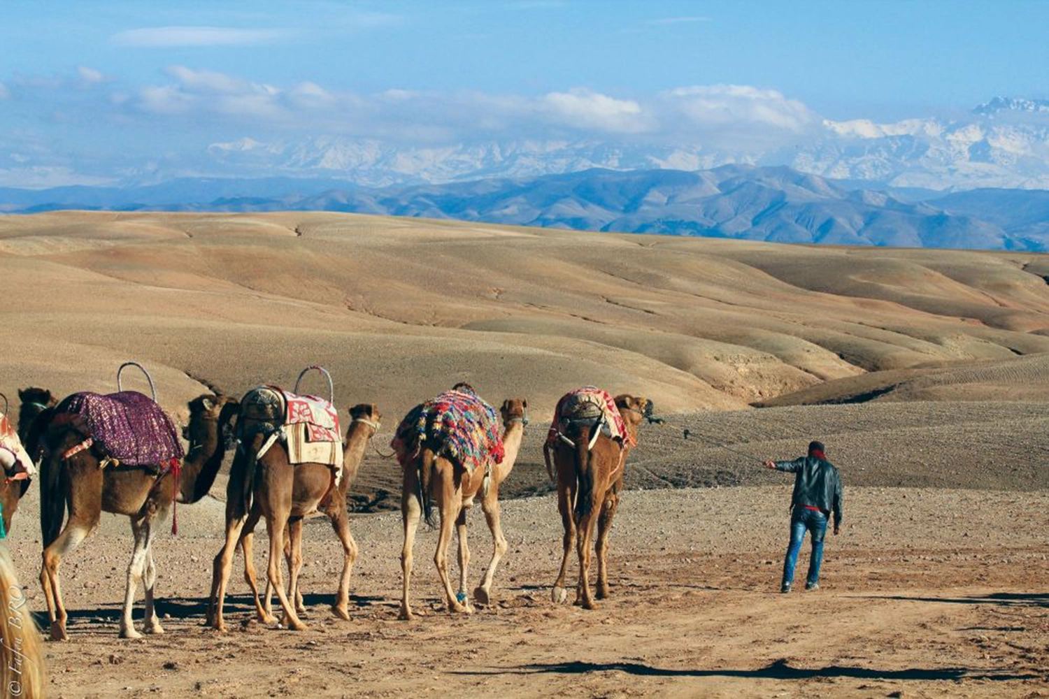 Excursion dans le désert d’Agafay