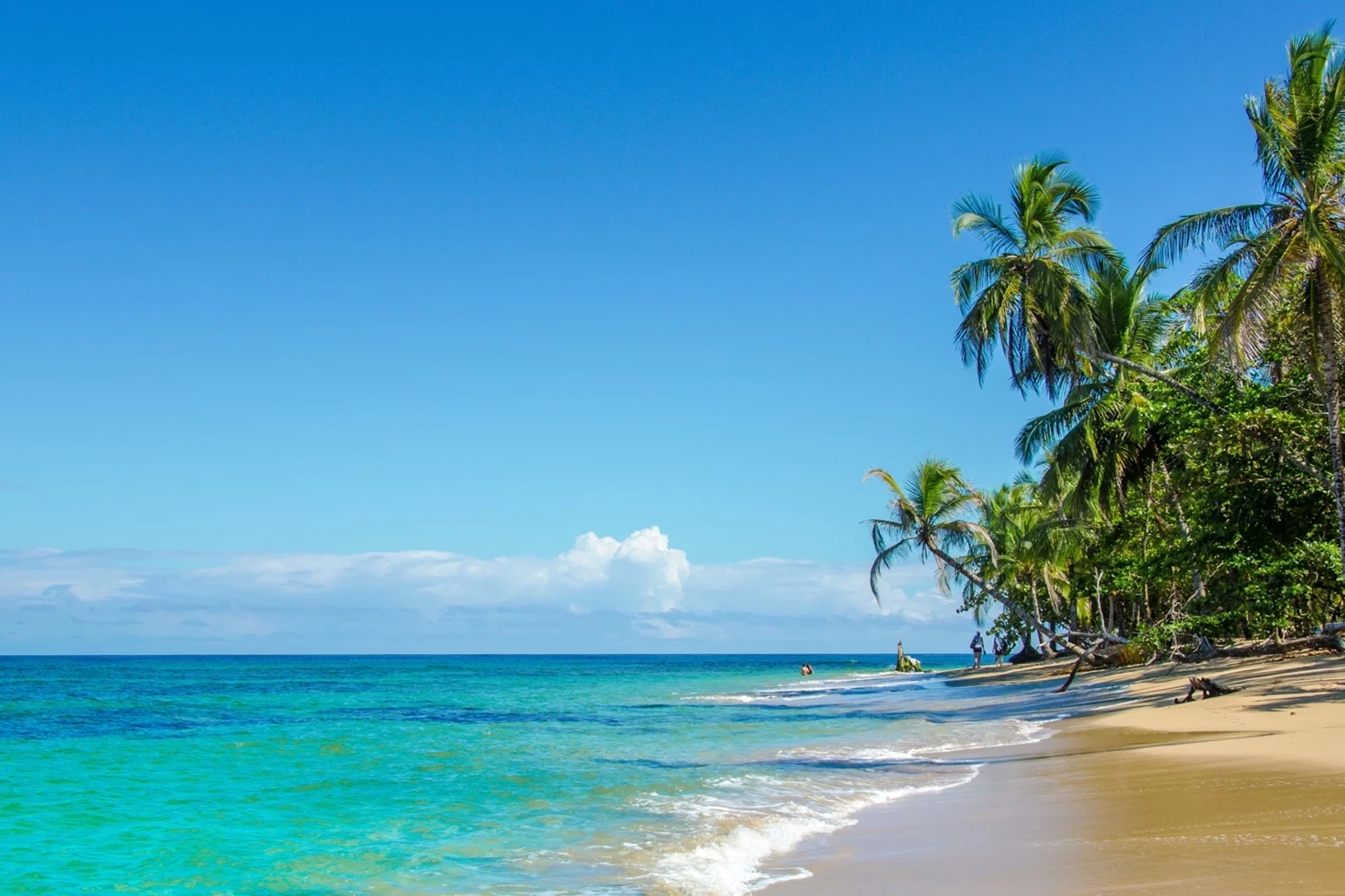 Landing-page presentation