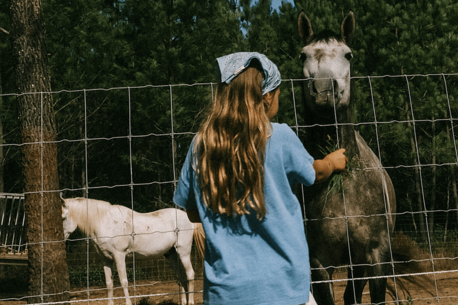 Equipements puériculture