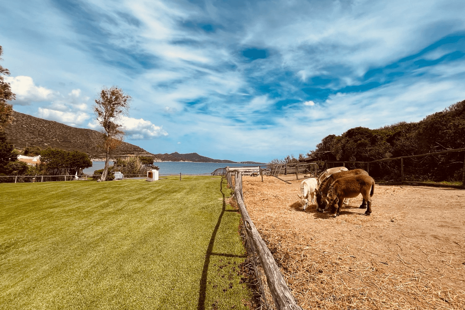 You’ll love the Falkensteiner Capo Boi, an intimate family resort! - Falkensteiner Resort Capo Boi ***** - 0