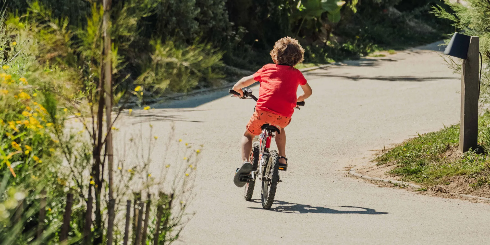 Sauvage, Collection Rivages **** - thumbnail